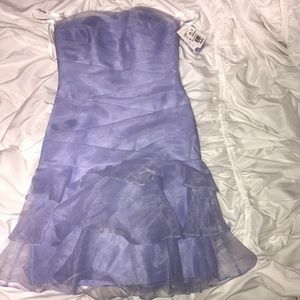BLUEBIRD SPRING FORMAL DRESS